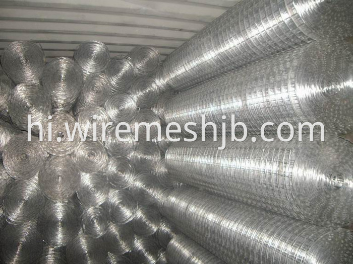 Welded Wire Mesh Rolls